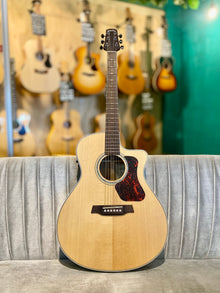  Walden  | G803CE | EX-DEMO | All Solid | Acoustic-Electric