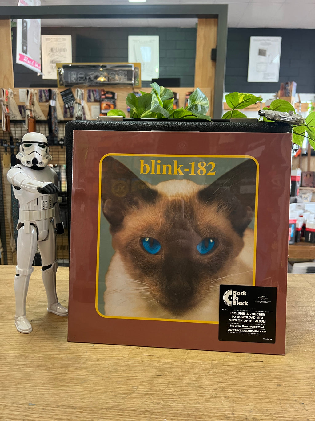 Blink 182 | Cheshire Cat | Reissue | New Vinyl – Nepean Music