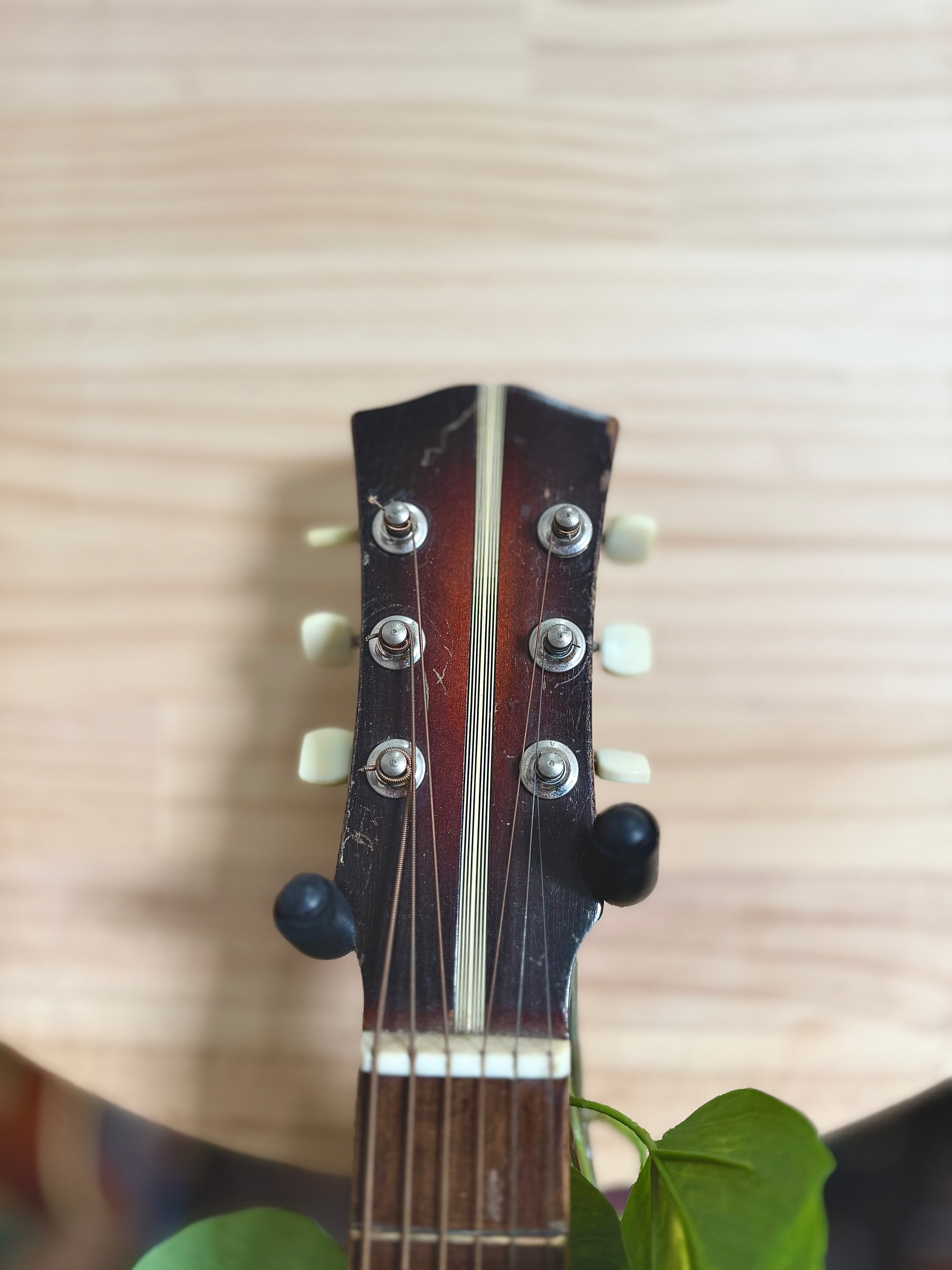 Ibanez | Salvadore Archtop | 1950’s | Sunburst | Pre-Loved