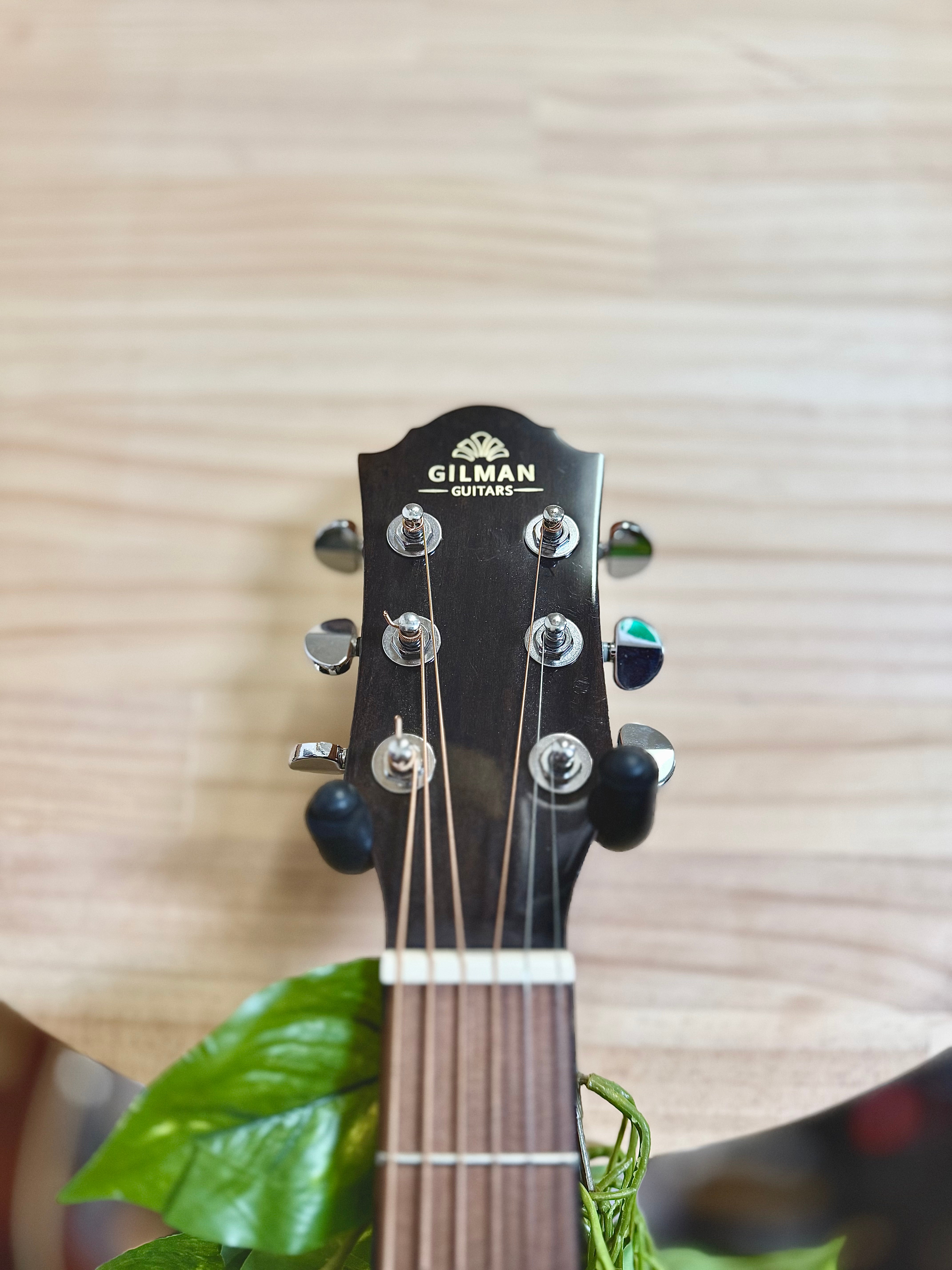 Gilman | GA12CE | Grand Auditorium Acoustic | Pre-Loved