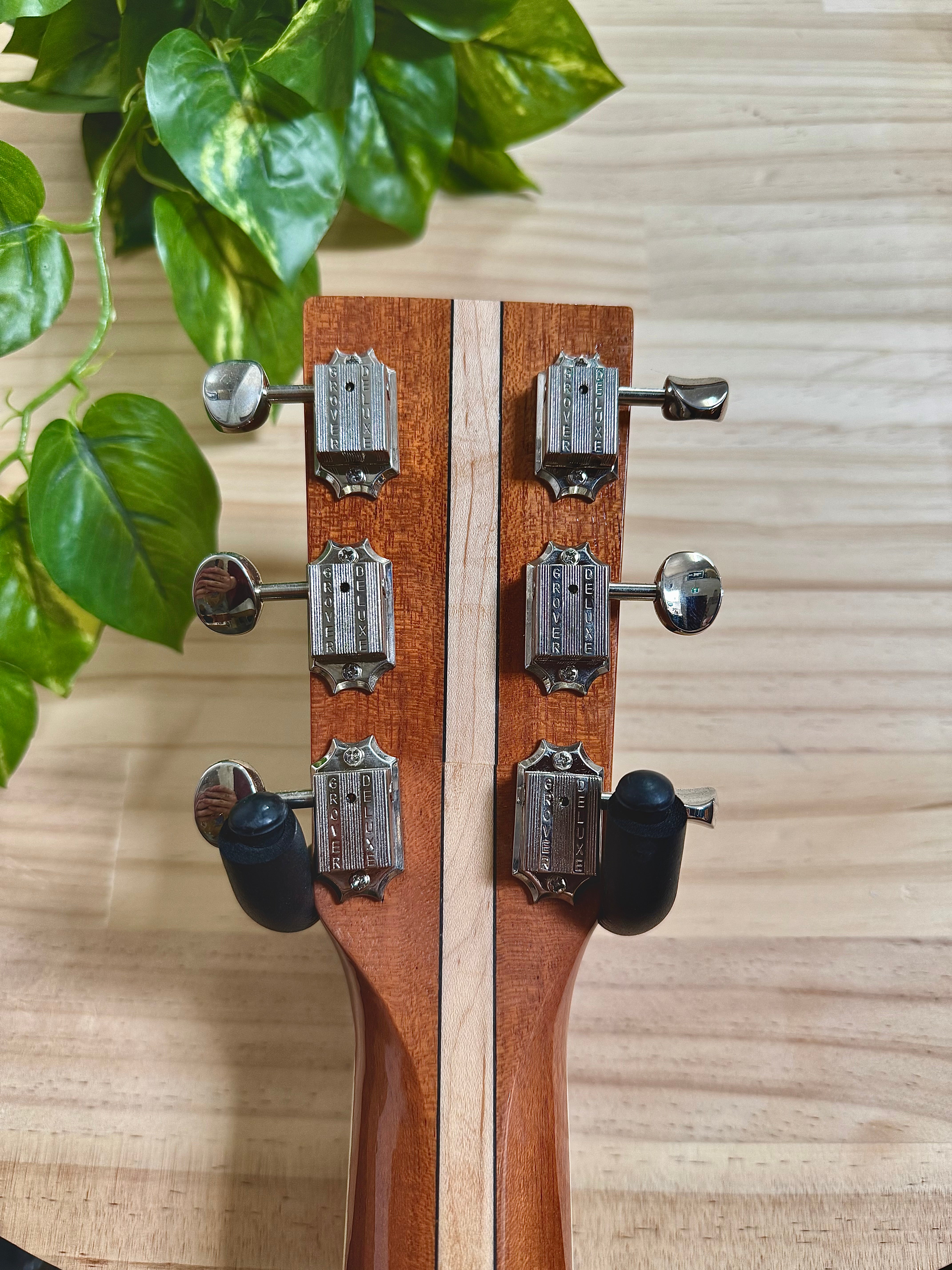 Zenner | Number 018 | OM Size Acoustic | Australian Made