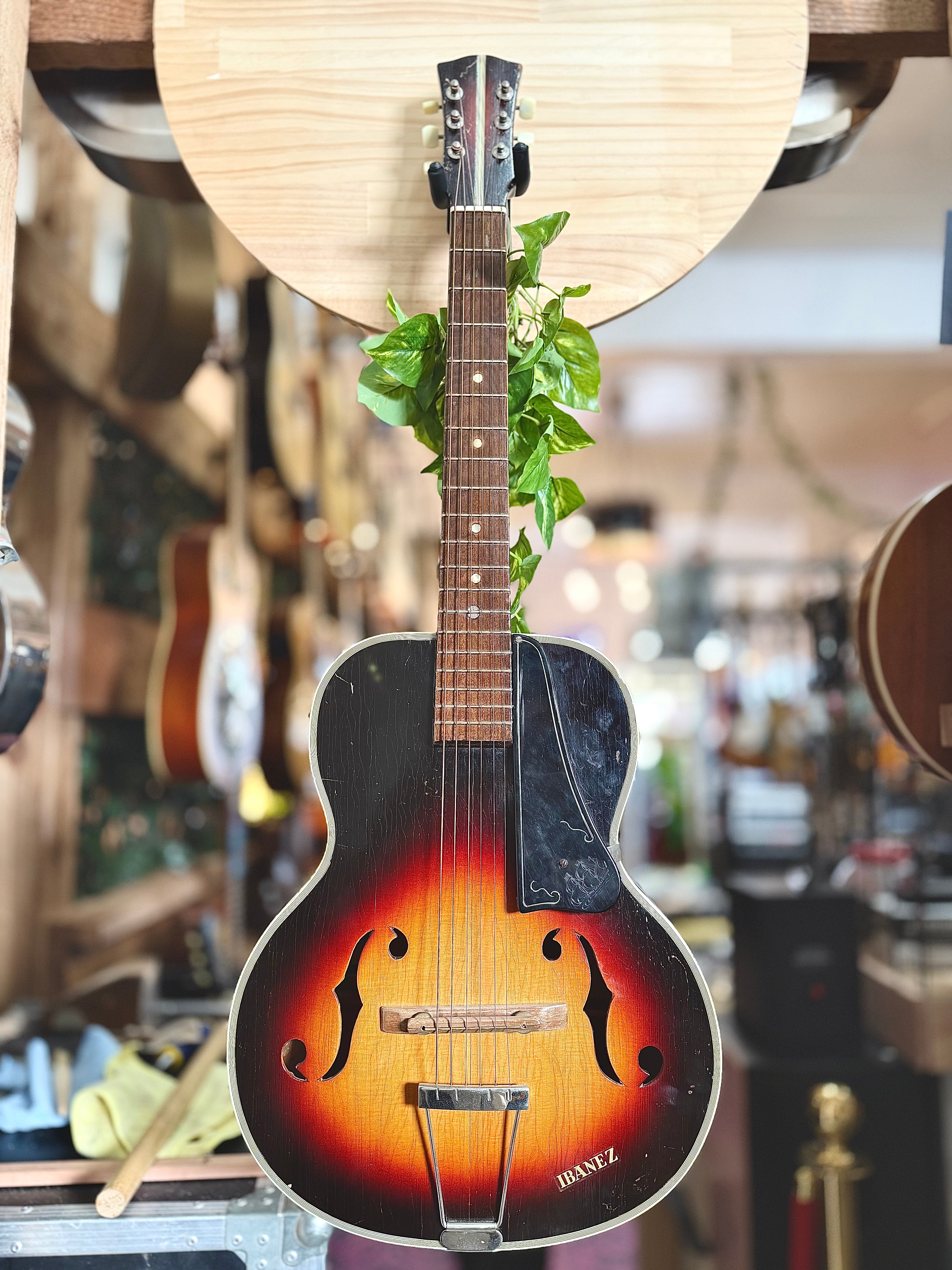 Ibanez | Salvadore Archtop | 1950’s | Sunburst | Pre-Loved