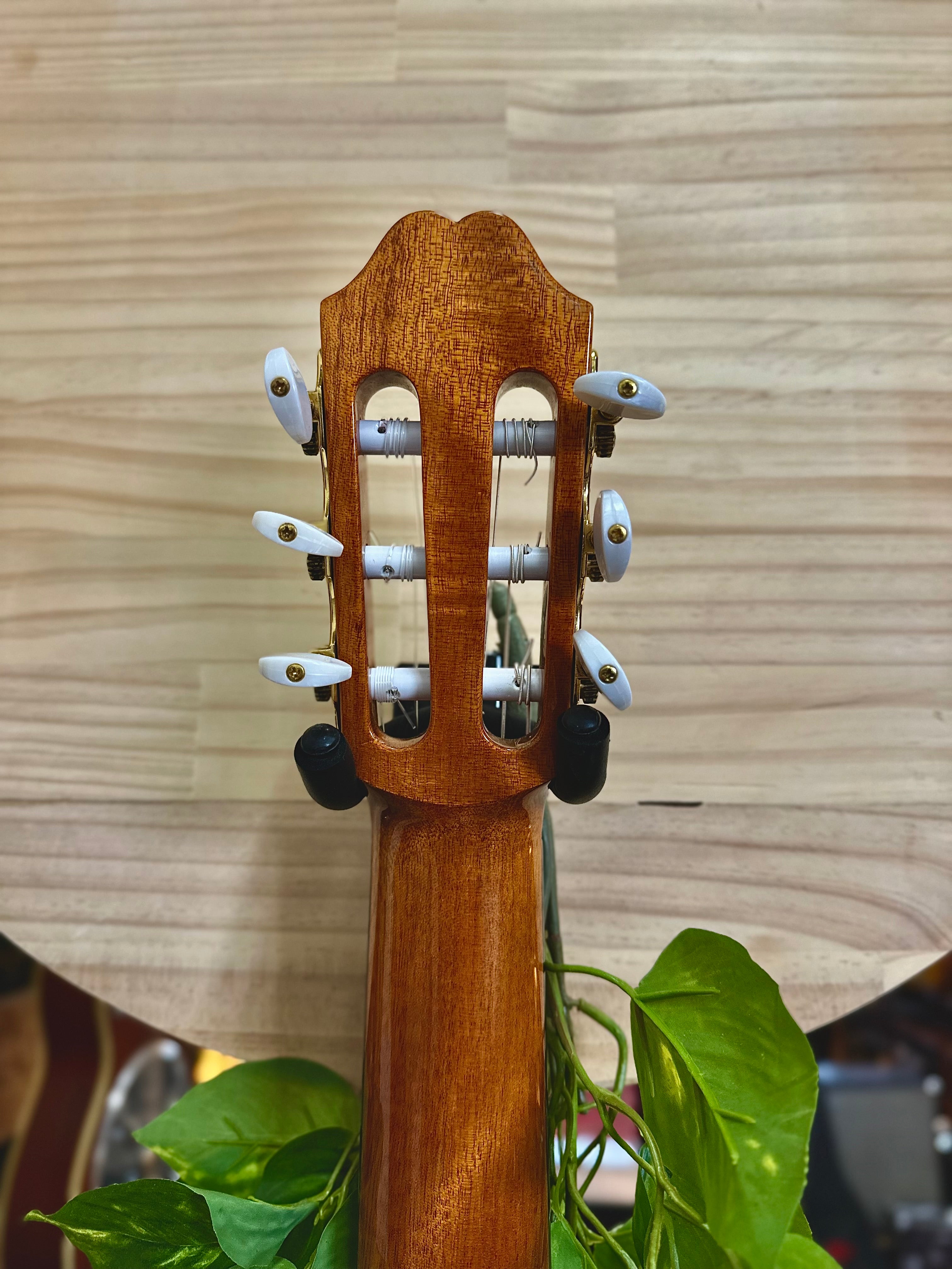 Katoh | MFG-ASCEW | Nylon String Classical Elec/Acoustic w/Cutaway | Pre-Loved