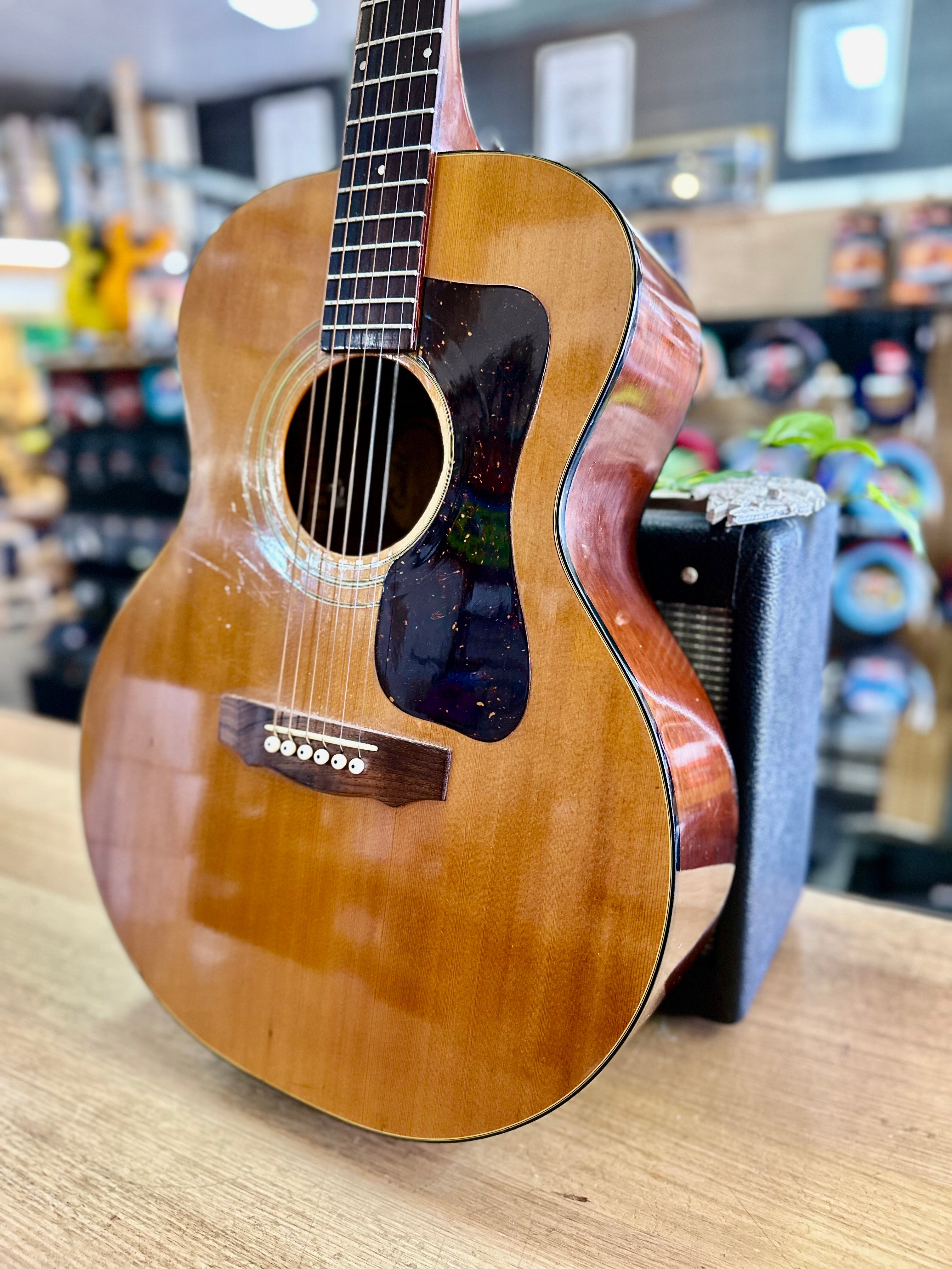 Guild | F30-NT | 1976 | Folk Acoustic | Vintage