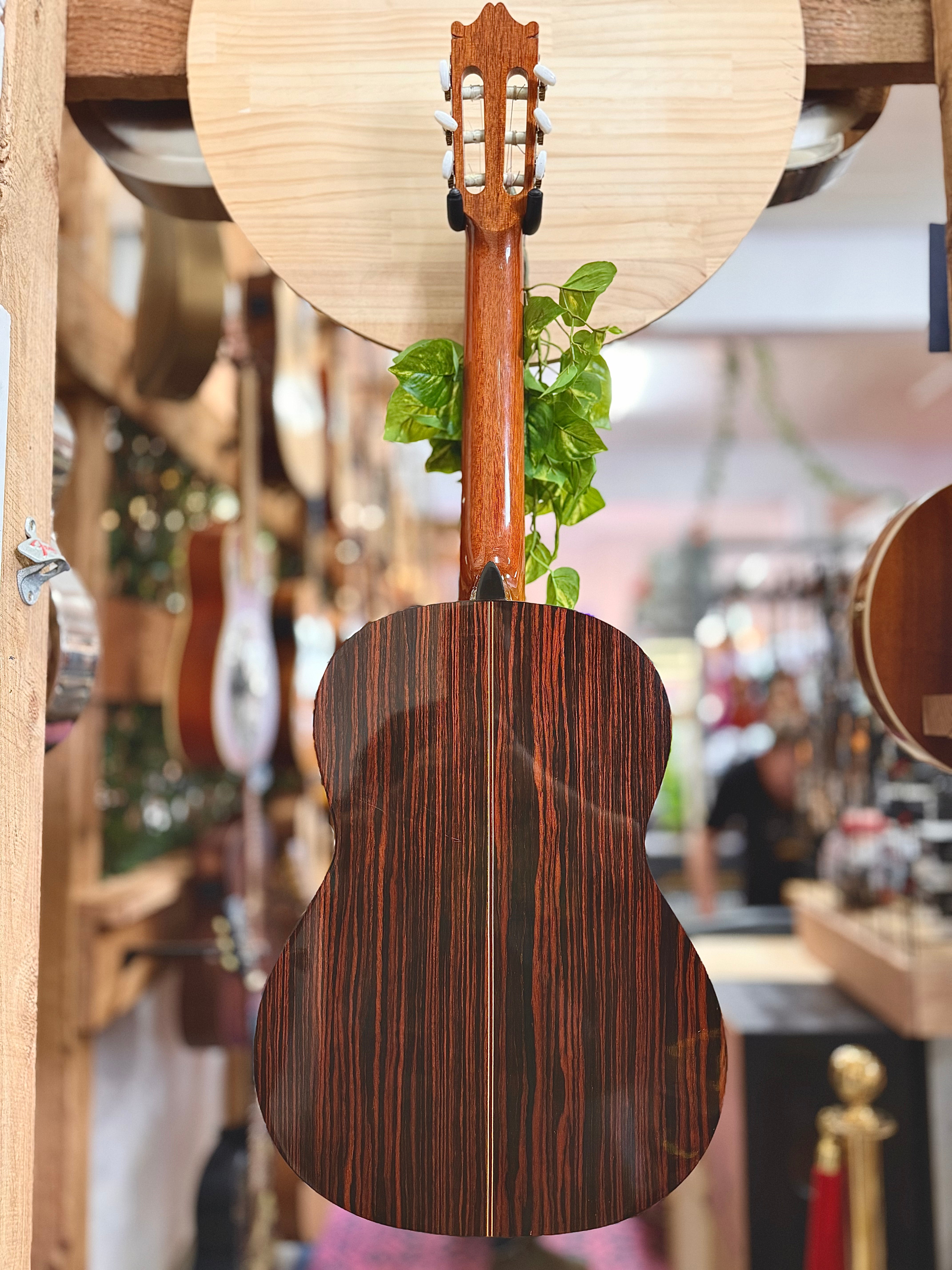 Ibanez | GA-40 Performance | Nylon String | Pre-Loved