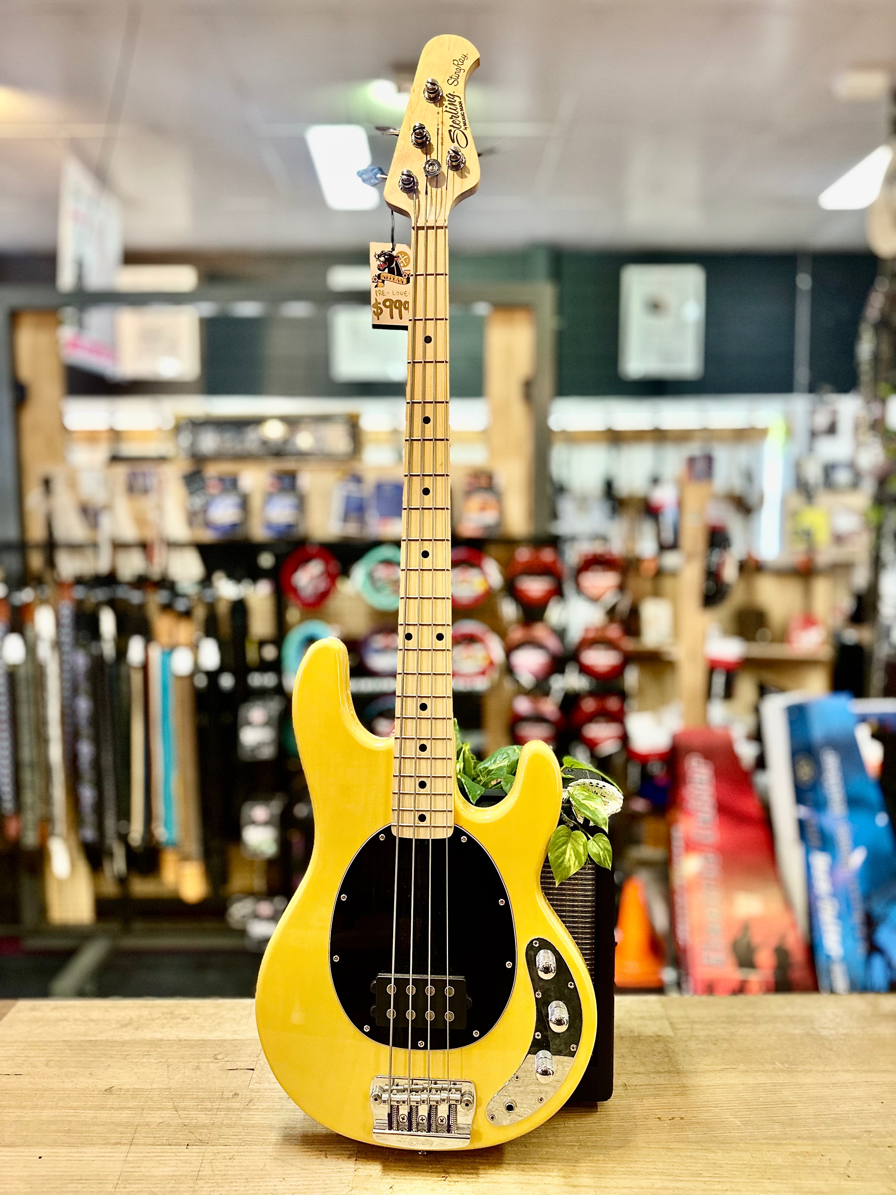 Sterling by Musicman | Stingray 24CA | Butterscotch | Pre-Loved