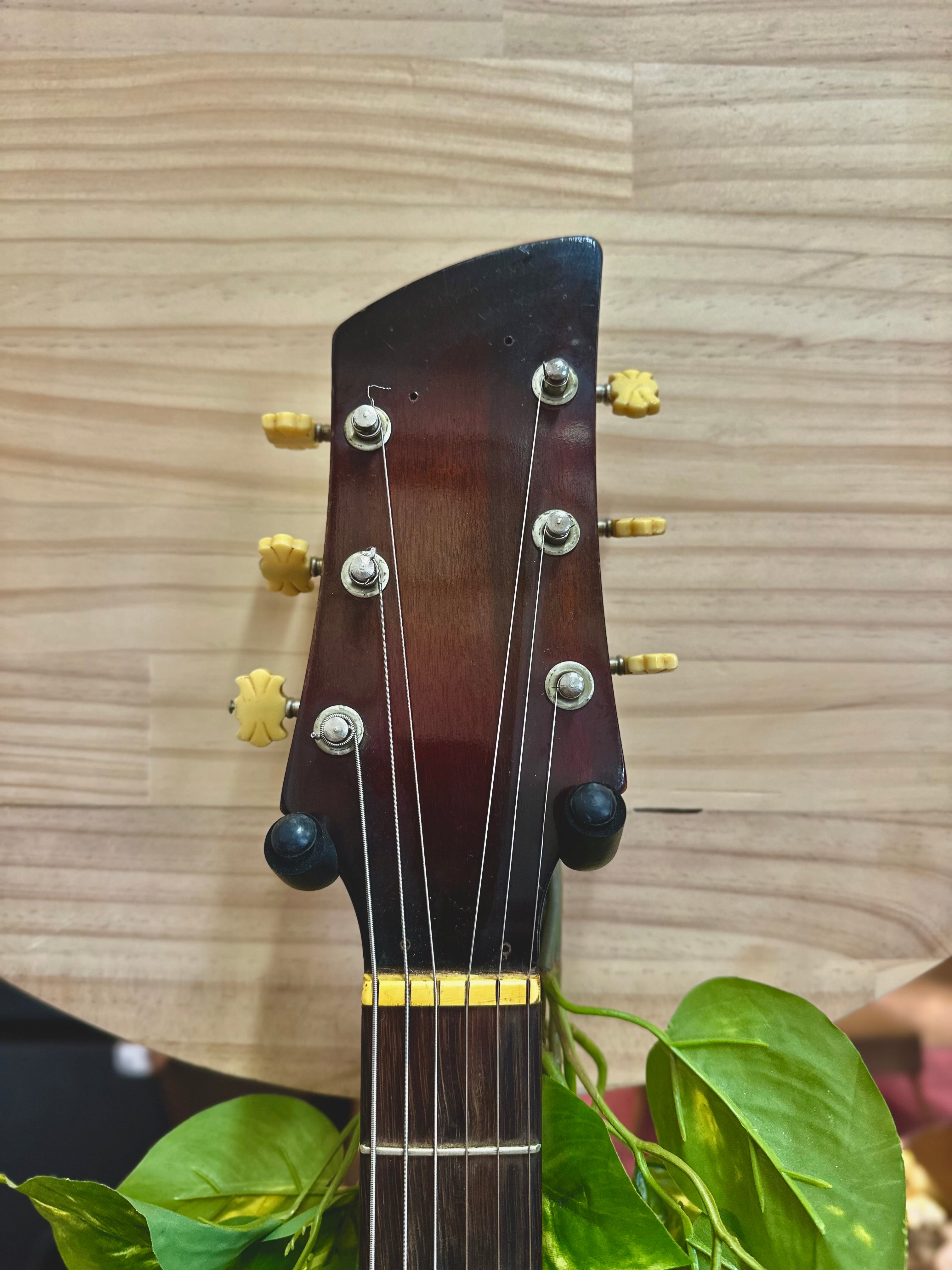 Maton | Magnetone | TB36/6 |1967 | RARE! | Vintage