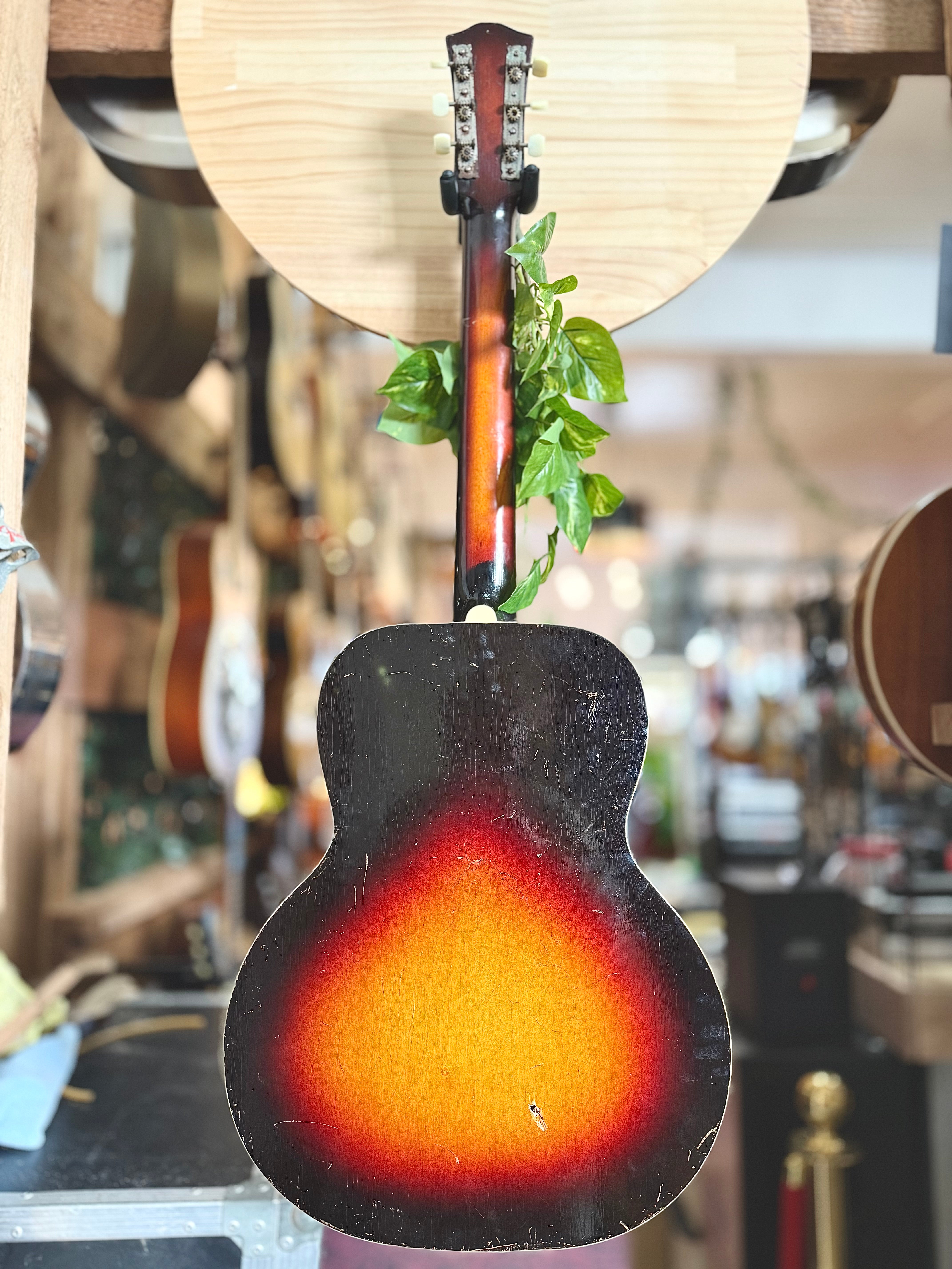 Ibanez | Salvadore Archtop | 1950’s | Sunburst | Pre-Loved