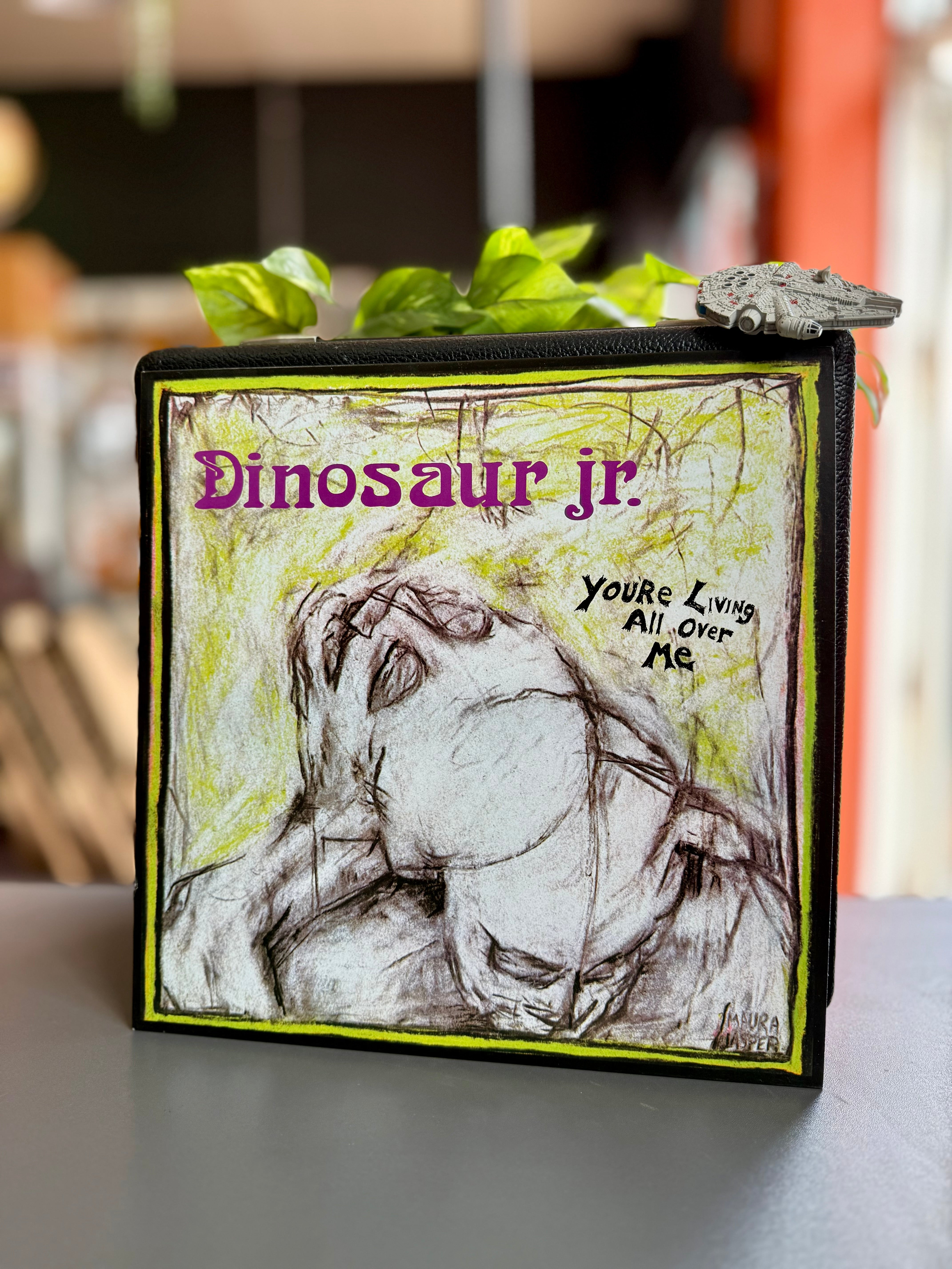 Dinosaur Jr | You’re Living All Over Me | Used Vinyl