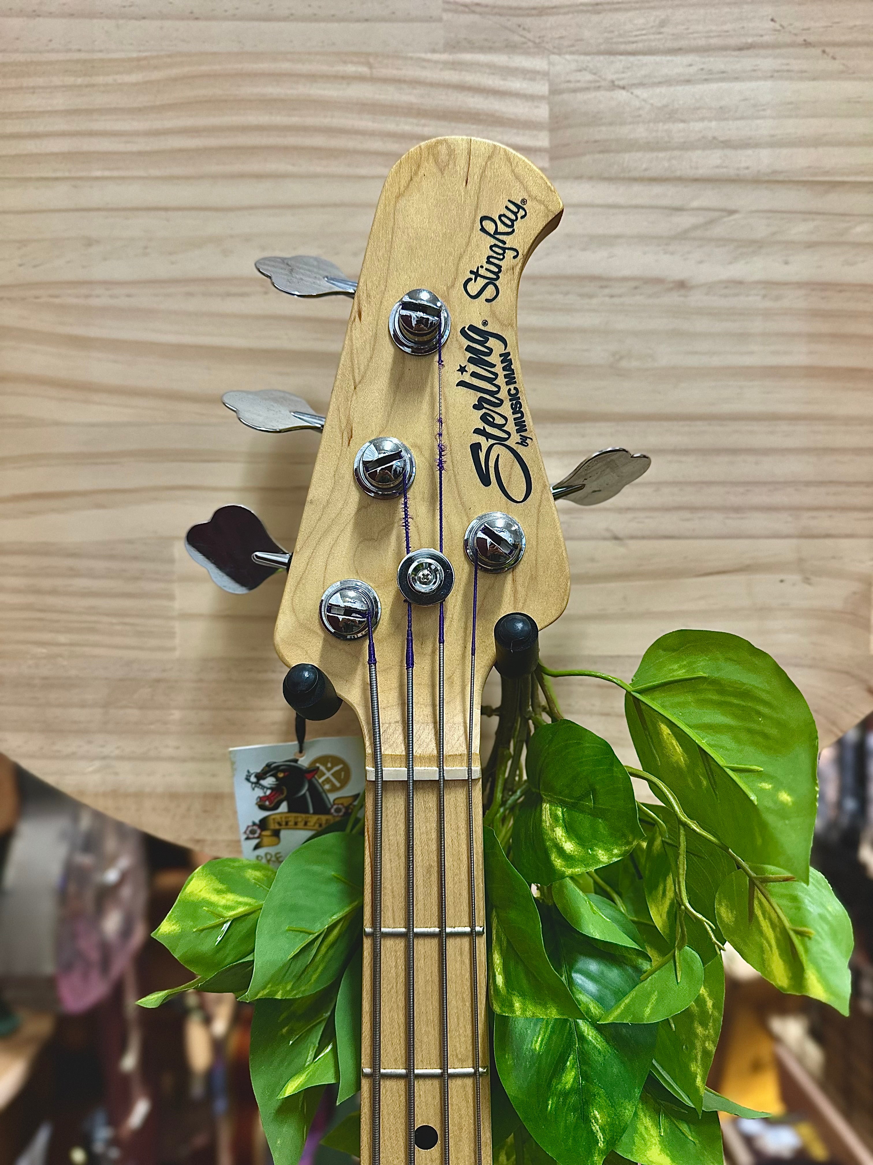 Sterling by Musicman | Stingray 24CA | Butterscotch | Pre-Loved