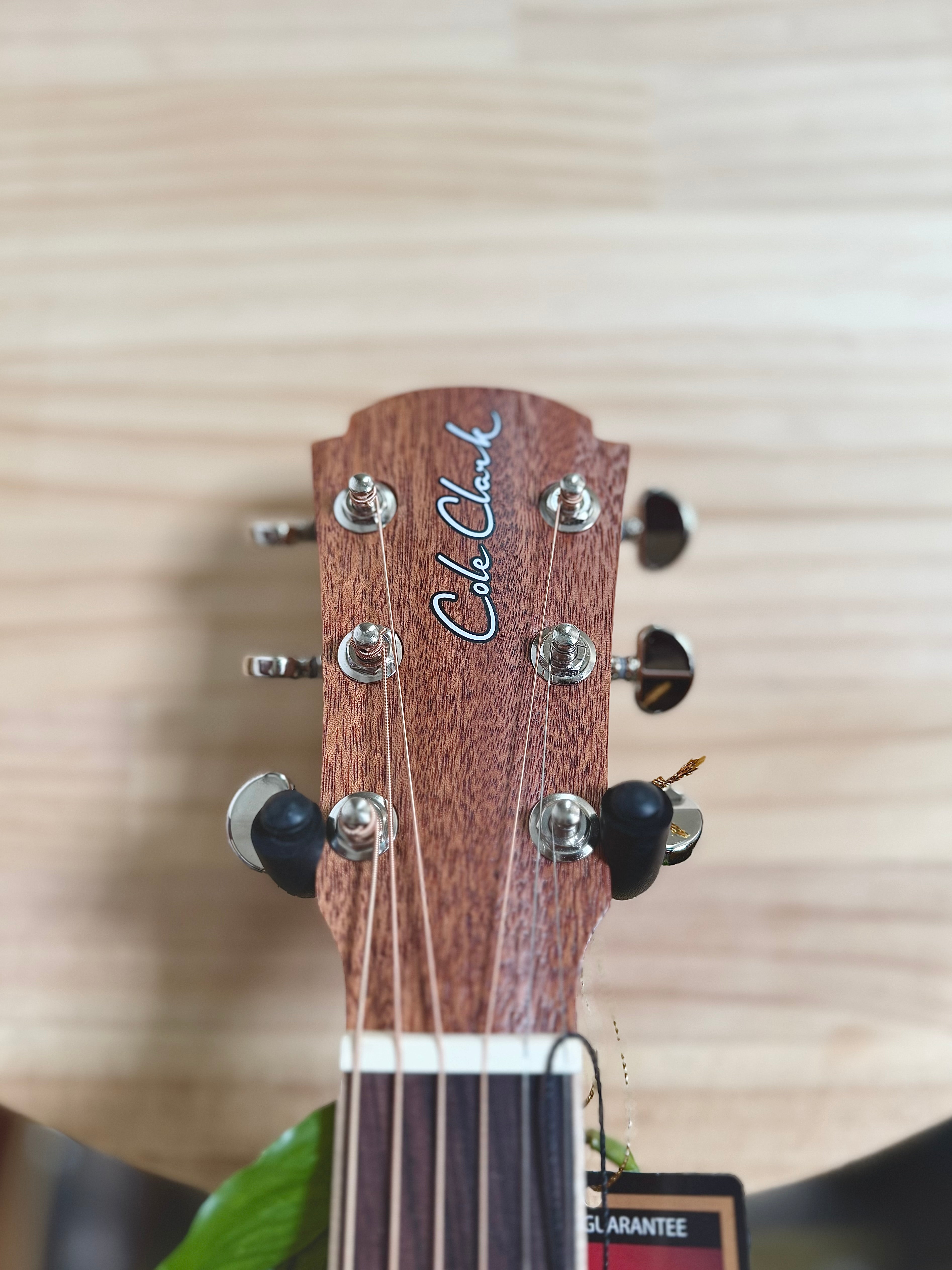 Cole Clark | STUDIO | SAN1EC-MMAH | African Mahogany | Acoustic/Electric
