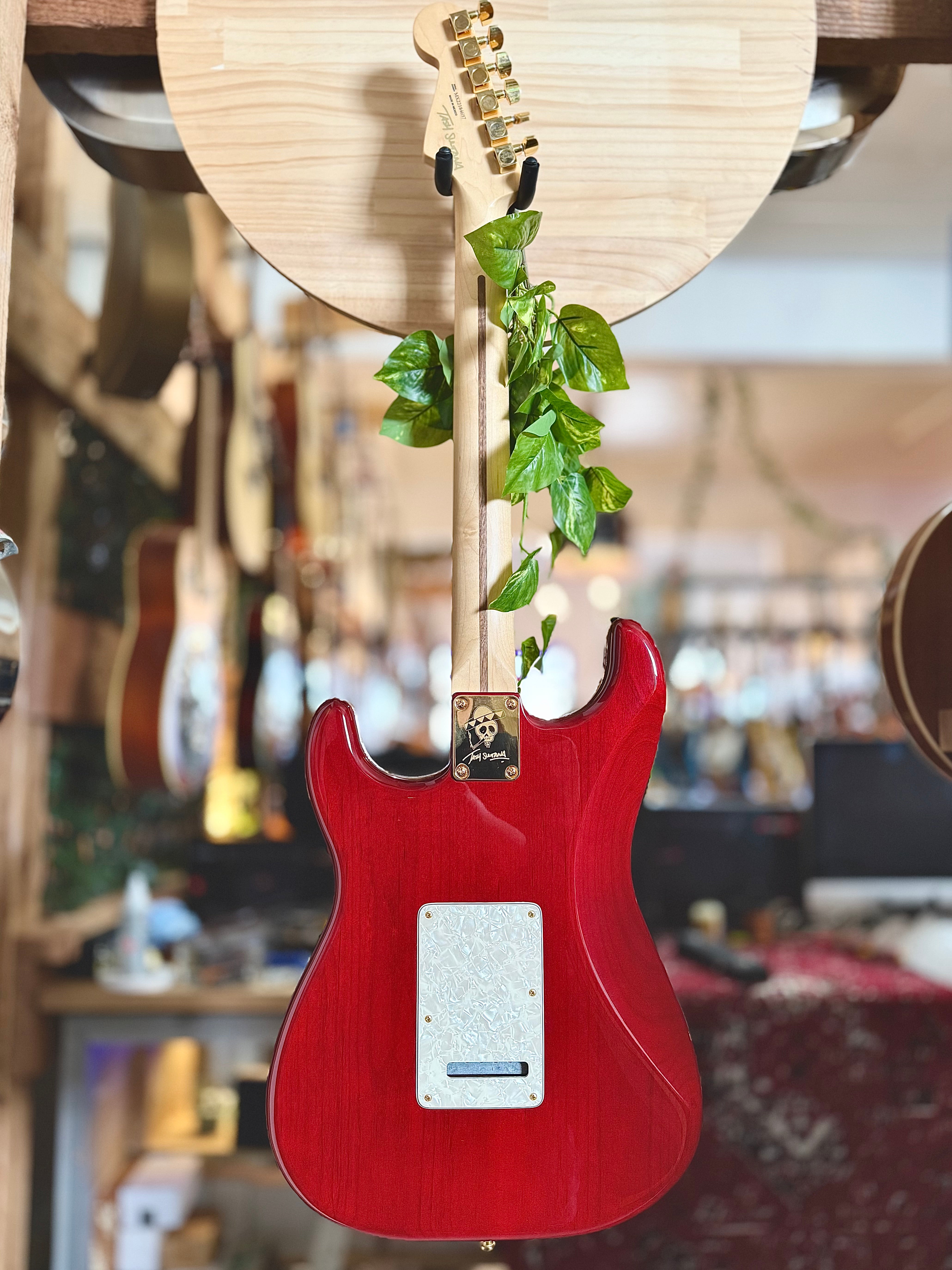 Fender | Tash Sultana Stratocaster | Transparent Cherry | 2022 | MIM | Pre-Loved