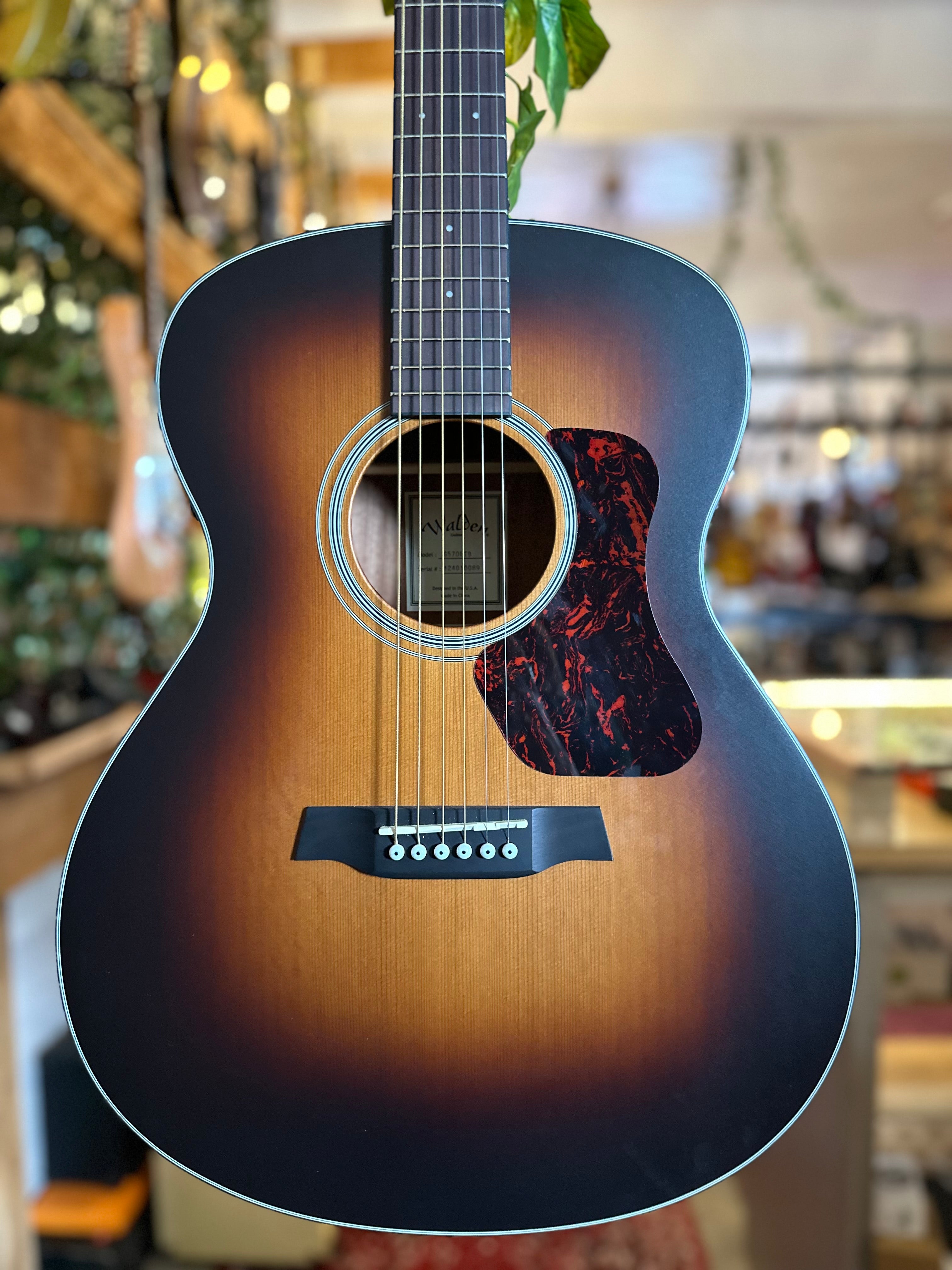 Walden | G570ETB | Grand Auditorium | Solid Top | Tobacco Sunburst | Acoustic-Electric