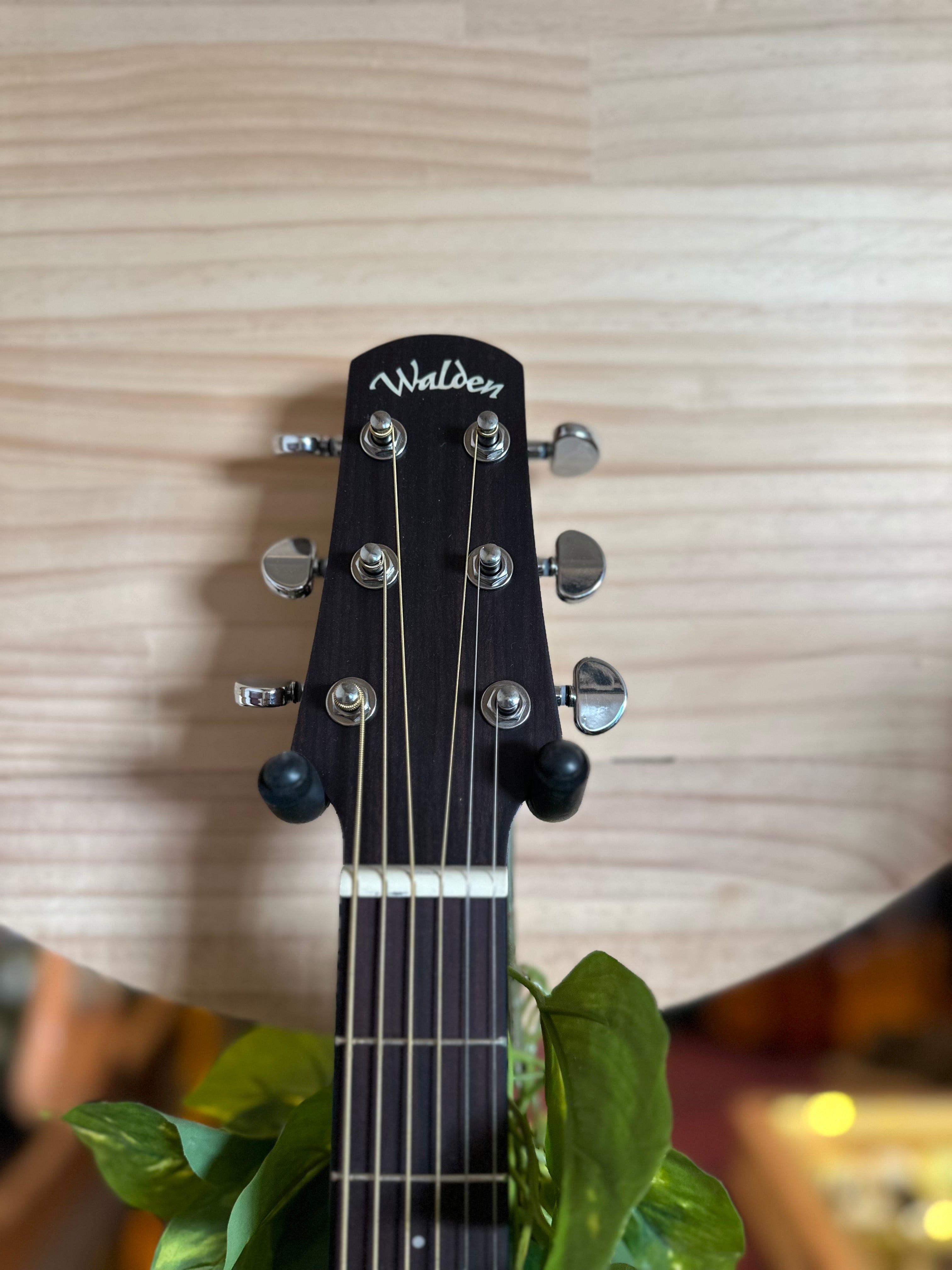 Walden | G570ETB | Grand Auditorium | Solid Top | Tobacco Sunburst | Acoustic-Electric