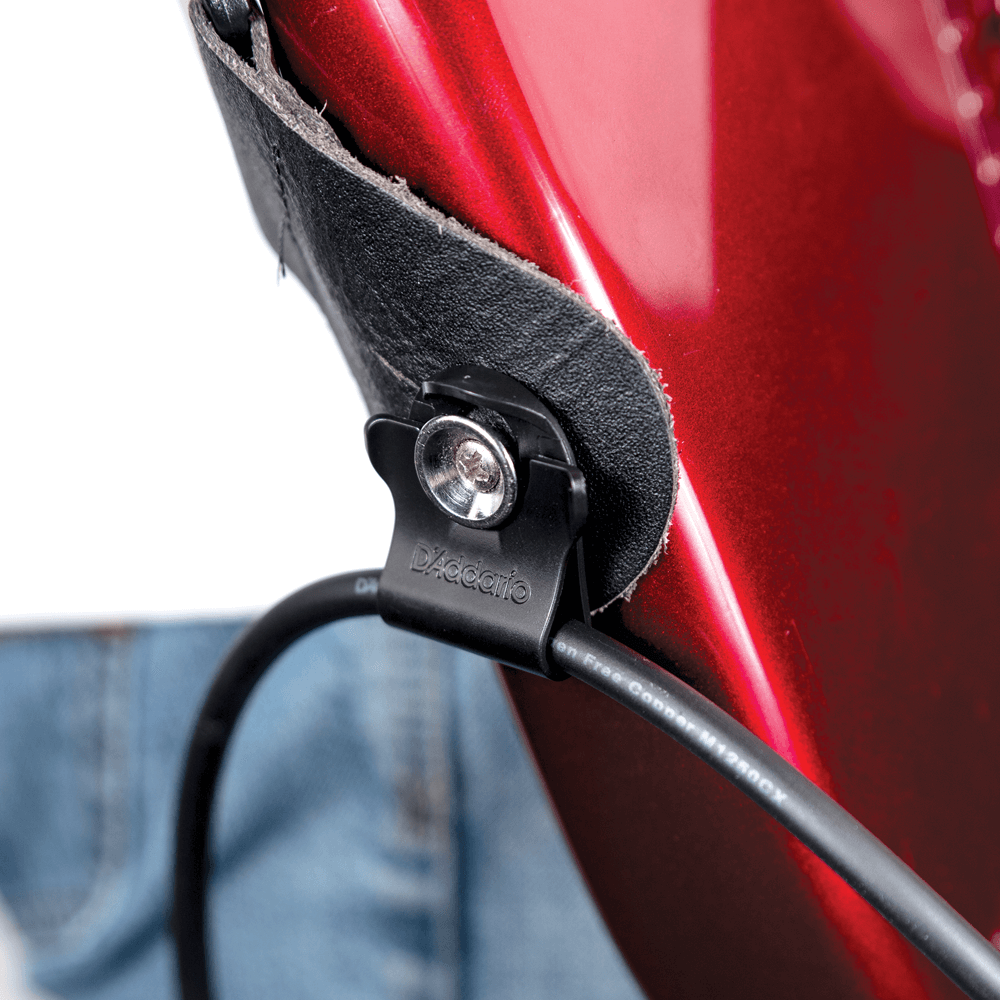 D'Addario | PW-DLC-01 | Dual-Lock Strap Lock