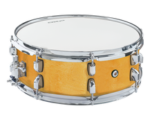  DXP | DXP155BN | Birch Snare Drum