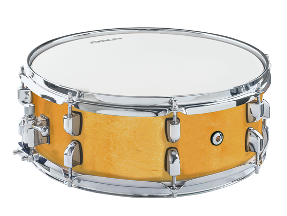 DXP | DXP155BN | Birch Snare Drum