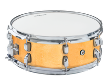  DXP | DXP155MN | Maple Snare Drum