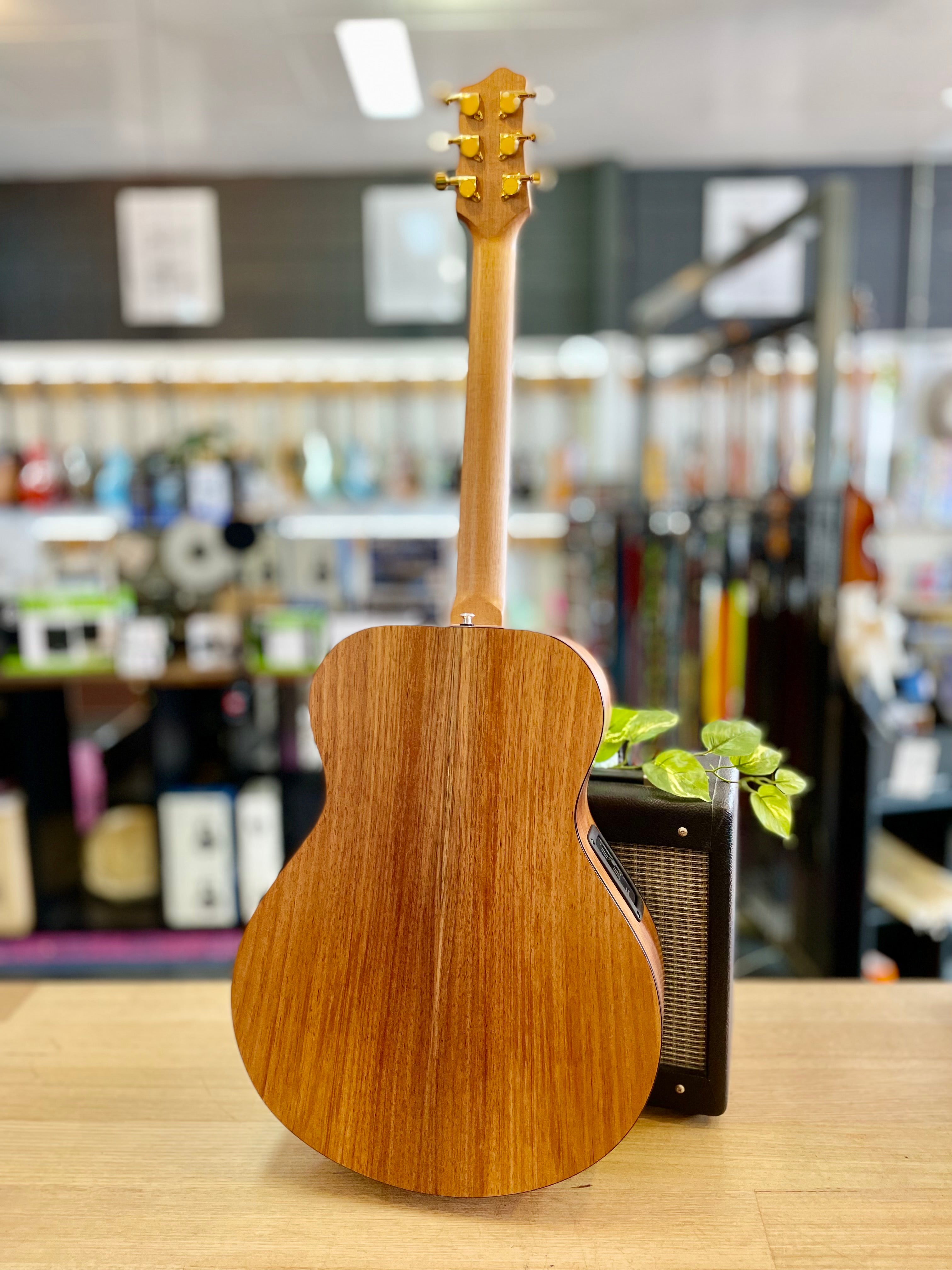 Pratley | Josh Teskey Signature | Blackwood & Silver Quandong | LR Baggs P/UP | Made in Australia