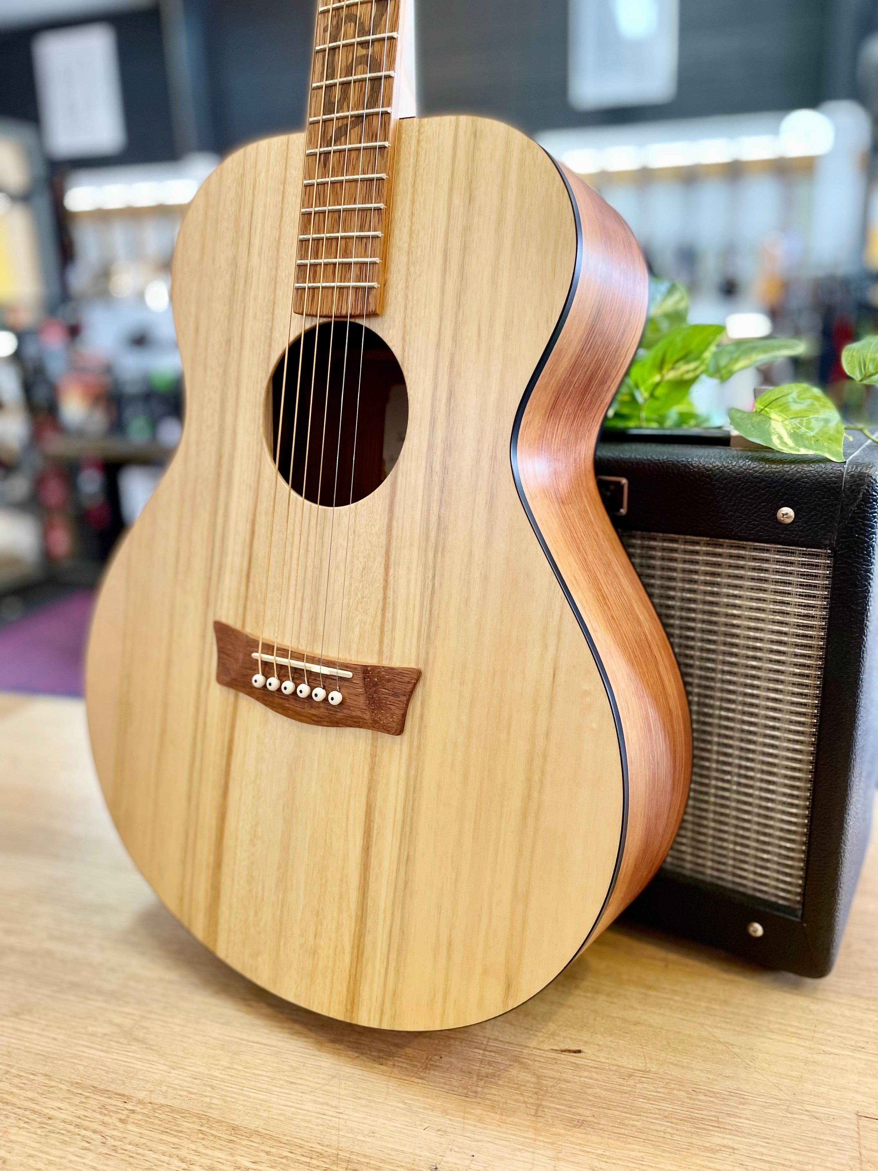 Pratley | Josh Teskey Signature | Blackwood & Silver Quandong | LR Baggs P/UP | Made in Australia