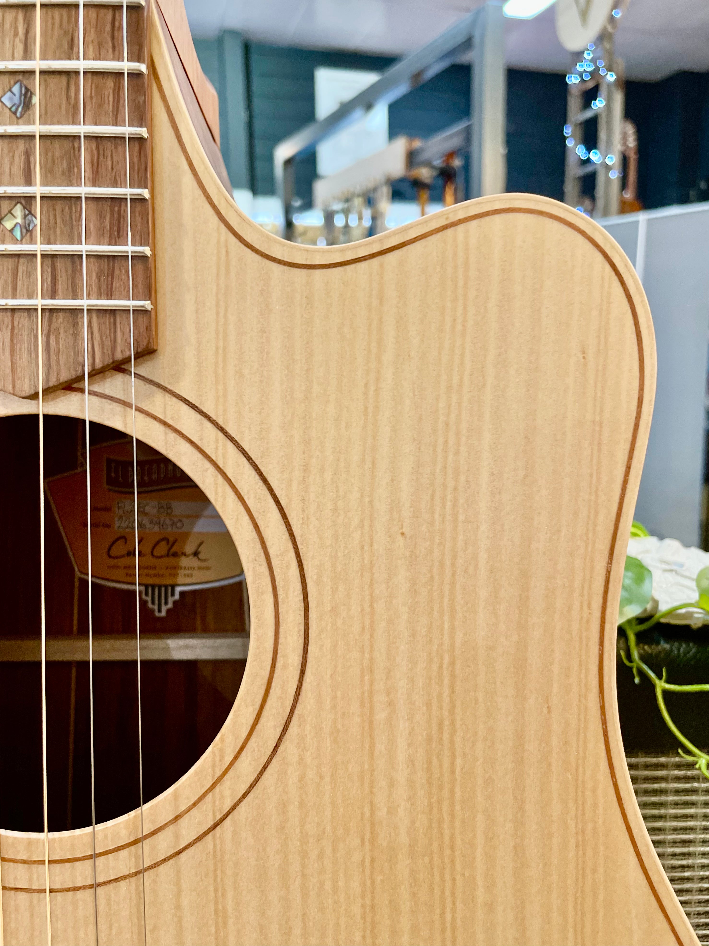 Cole Clark | FL2CE-BB | Blackwood Bunya | Acoustic Electric