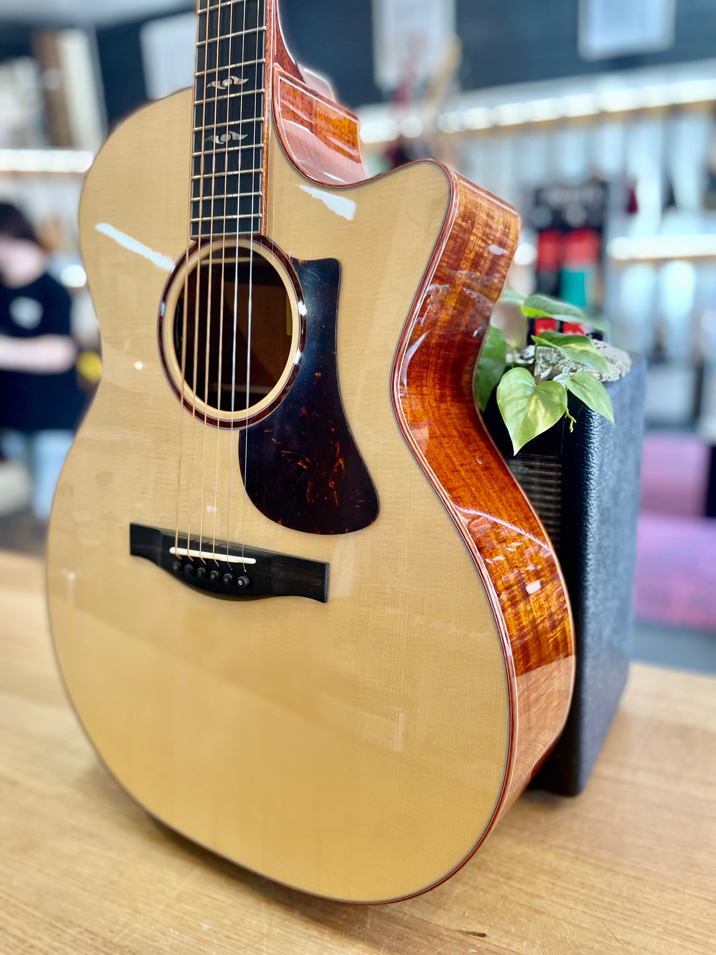 Eastman | AC522CE | All Solid | Acoustic-Electric