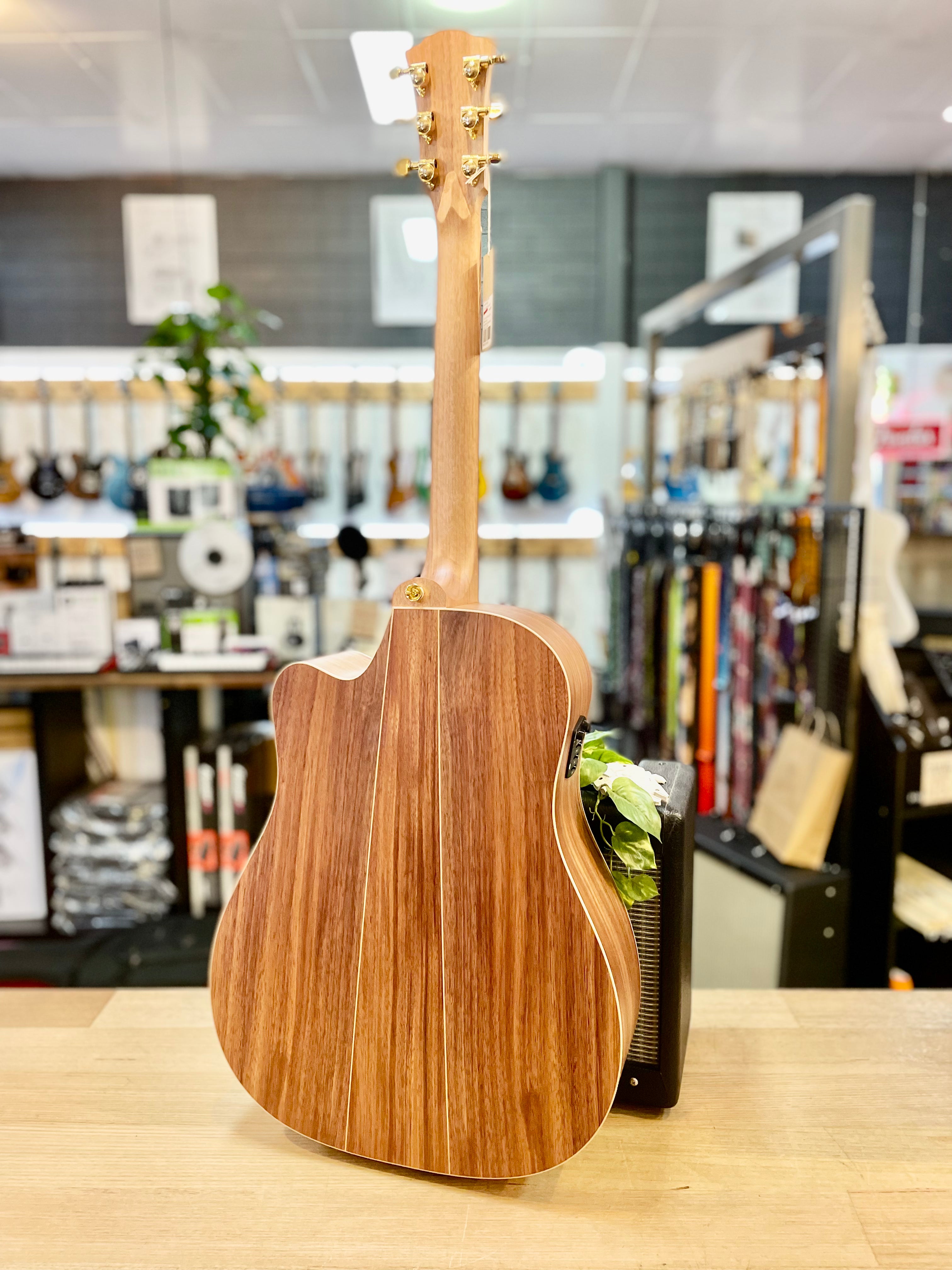 Cole Clark | FL2CE-BB | Blackwood Bunya | Acoustic Electric