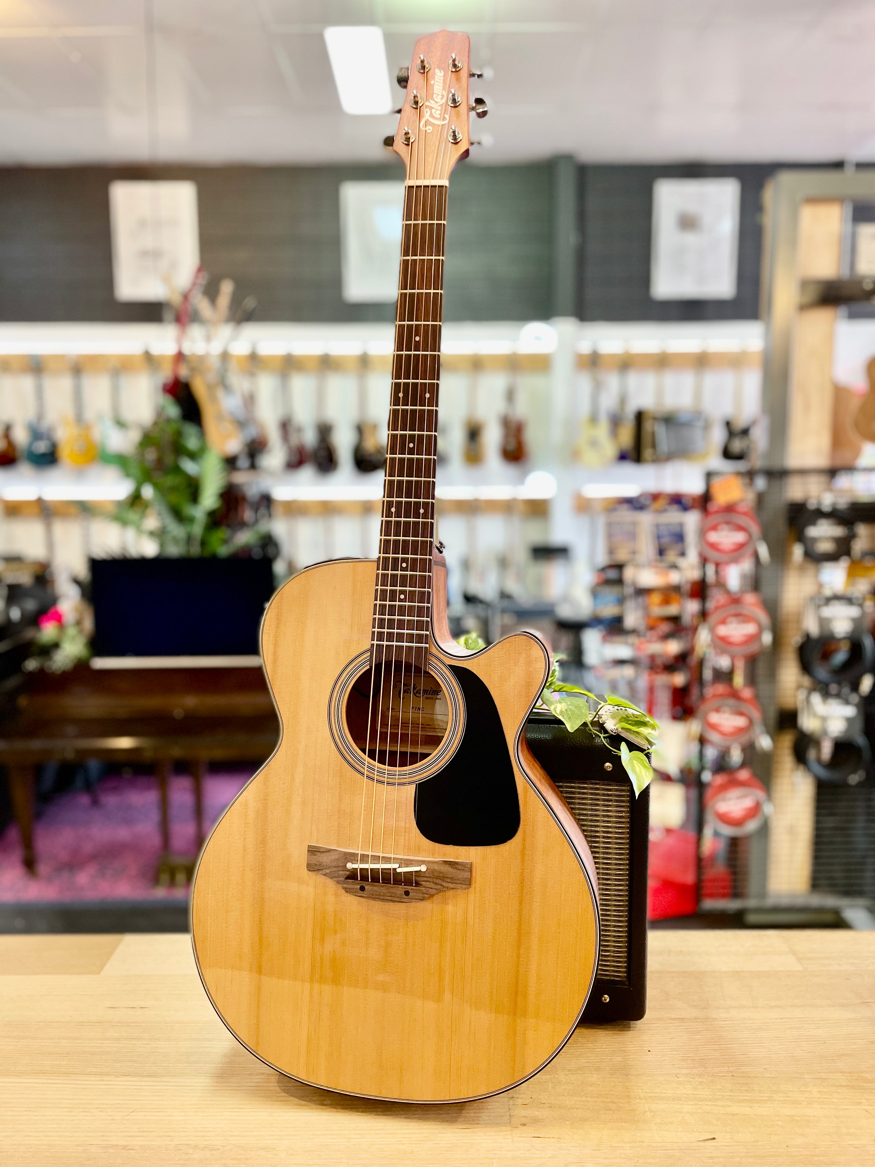 SALE! | Takamine | Pro Series | P1N | NEX Body | Ac/El