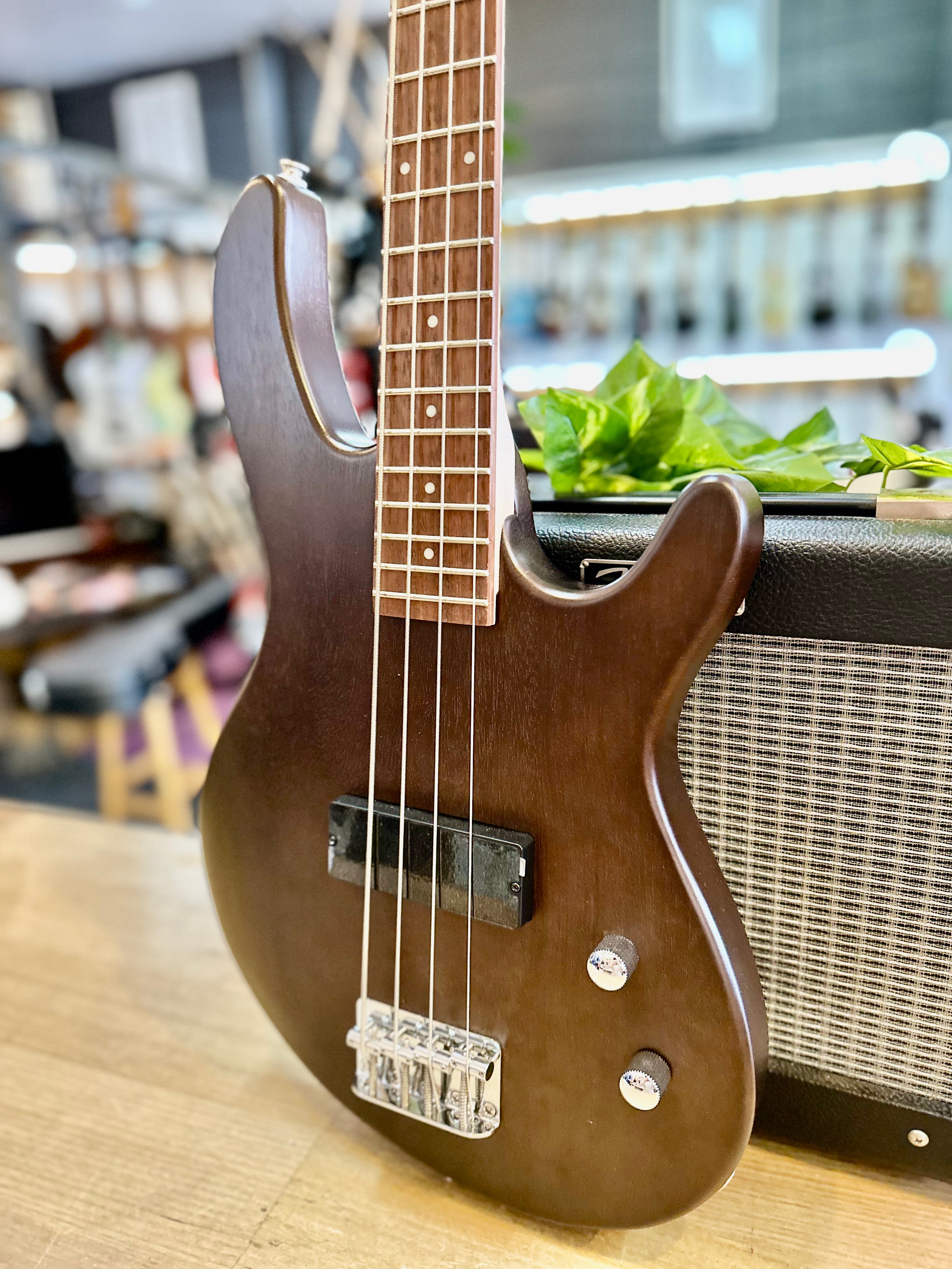 Cort | Action Bass | 3/4 Junior Size | Open Pore