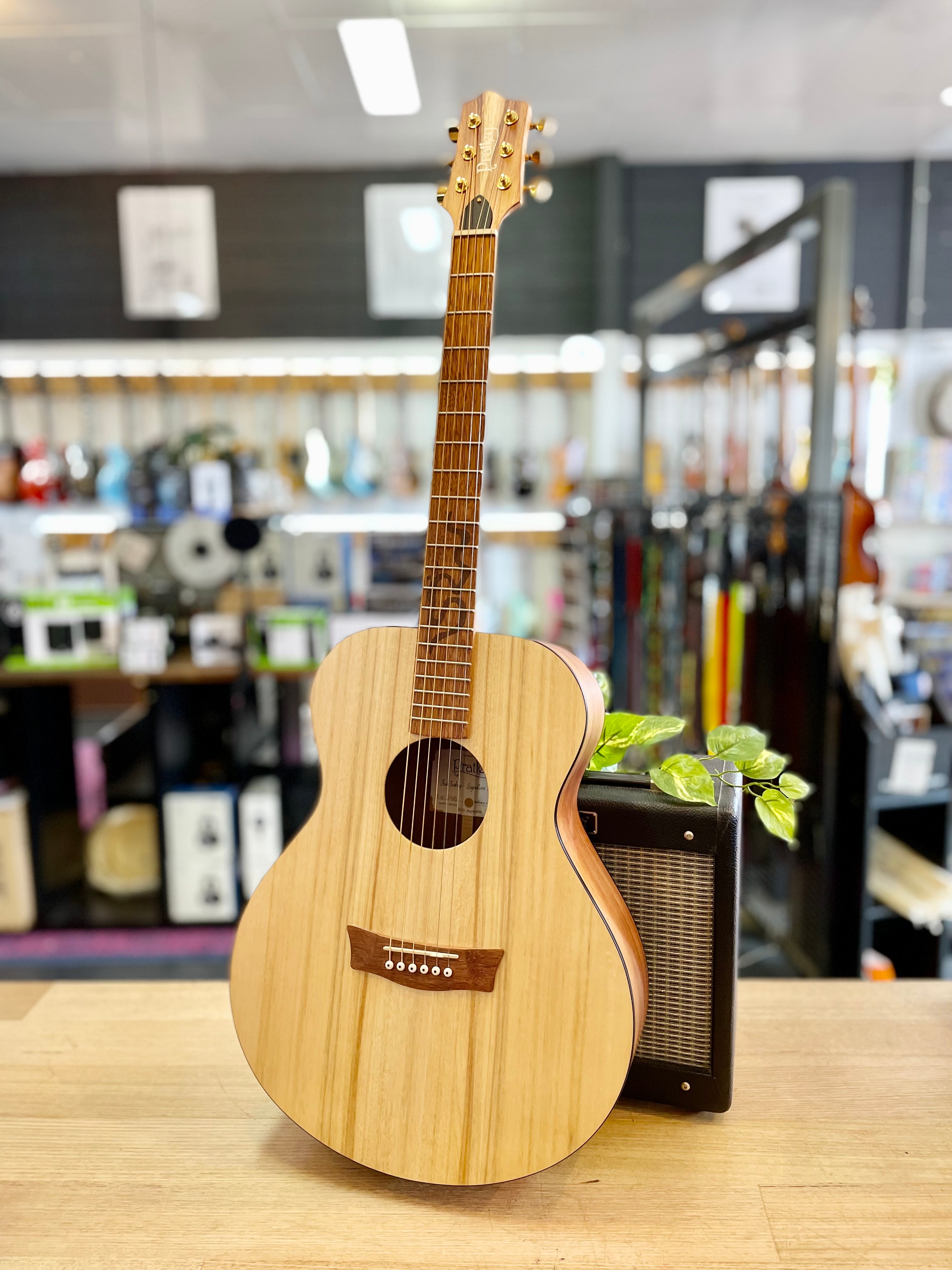 Pratley | Josh Teskey Signature | Blackwood & Silver Quandong | LR Baggs P/UP | Made in Australia